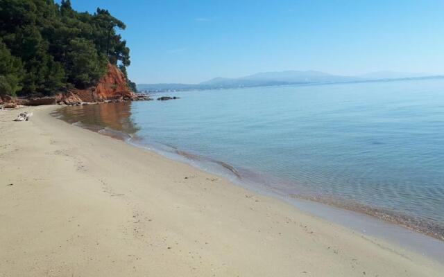 Sithonia Alekos Luxury Experience
