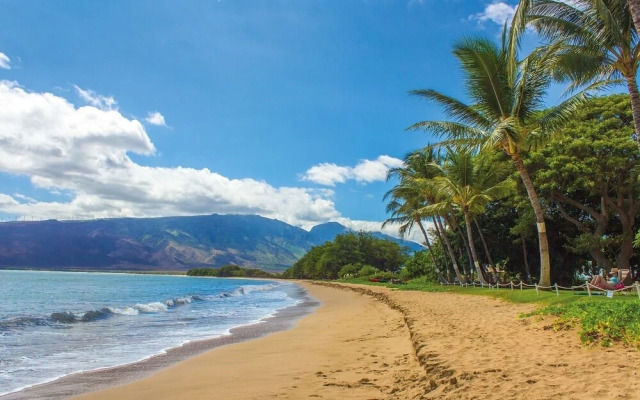 Central Maui Hostel