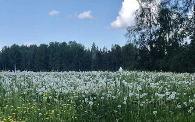 Charming 1-bed Studio in Avesta