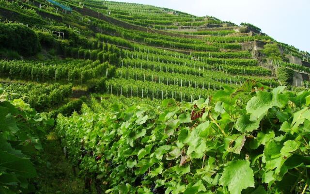 Spacious Apartment in Vulkaneifel