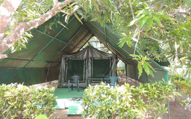 Corcovado Adventures Tent Camp