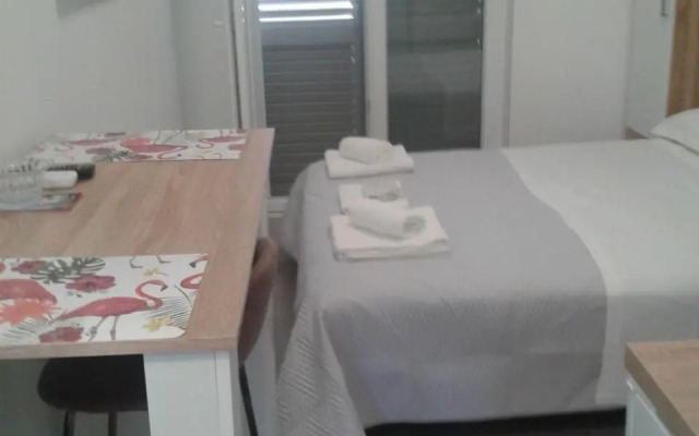 Studio Antonio New
