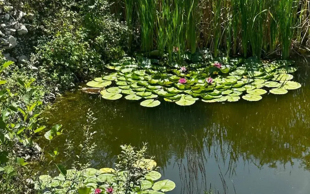 The Garden of Wonders