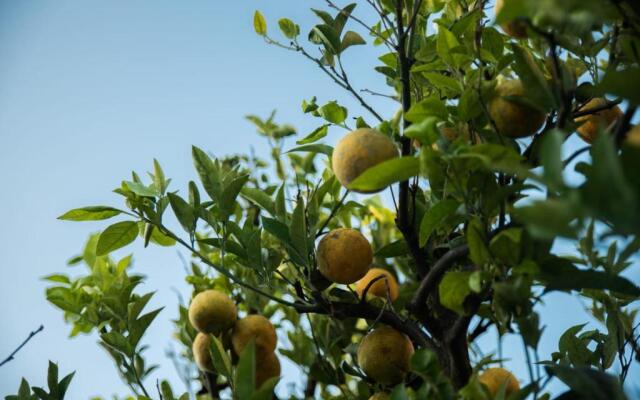 Residence Pantanello