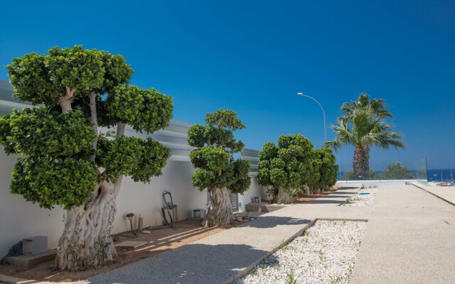 Villa Greko 605 Platinum