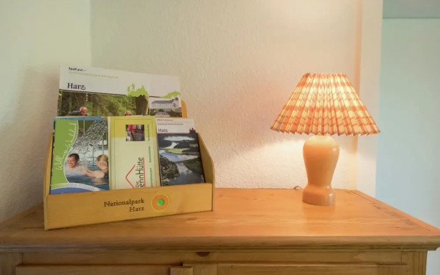 Rustic Apartment With Garden in Bad Harzburg Germany