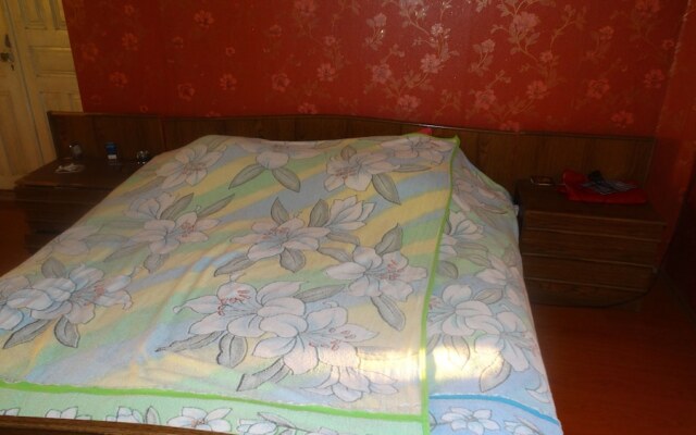 Guest house Alexy
