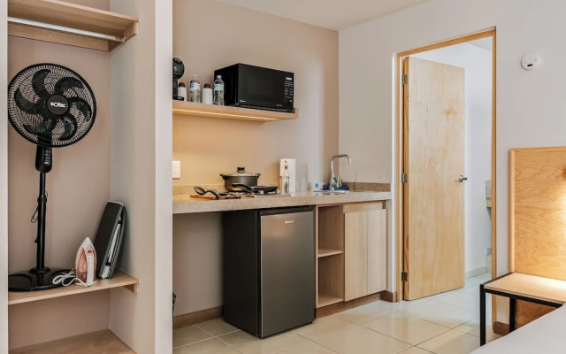 Pájaros by Homirent