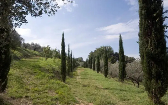 Agriturismo Villa Plini