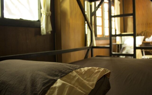 Jungle Gym & Eco Lodge - Hostel