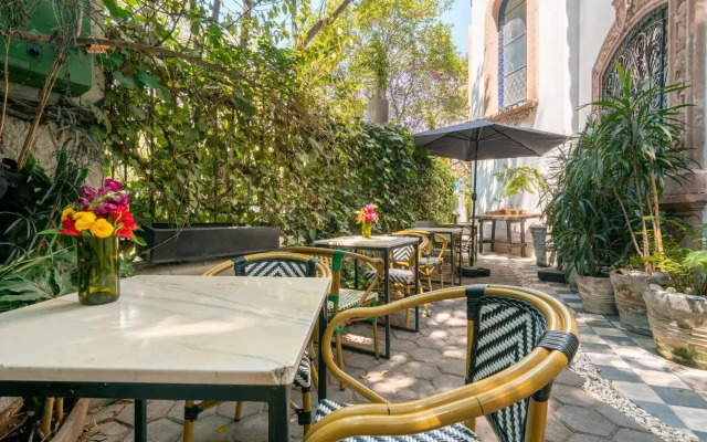 Orchid House Mexico City