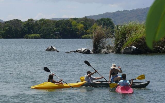 Zopango Orchids Island