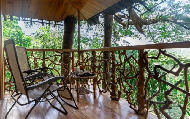 Tranquil Resort Wayanad