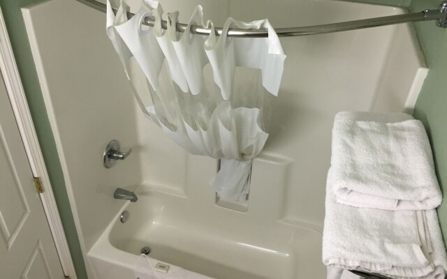 Vista Inn & Suites -Downtown- Memphis