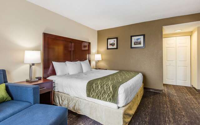 Comfort Inn College Park North