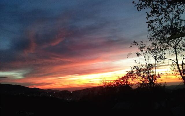 Tribuhaus Backpackers Inn