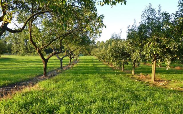 Weingut & Ferienwohnungen Kirch