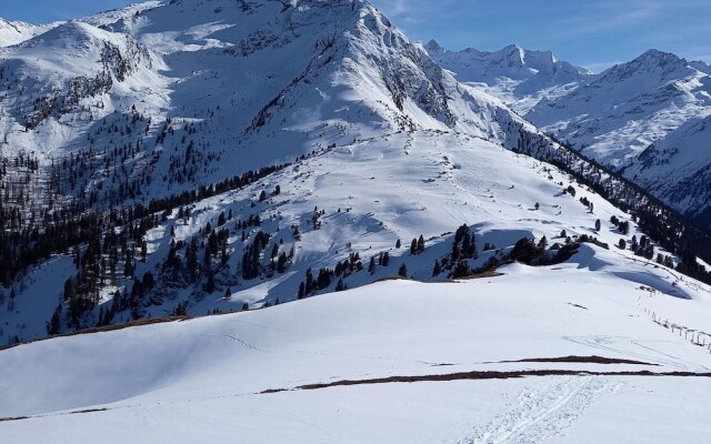 Apartment for Allergy Sufferers Near the Waterfall