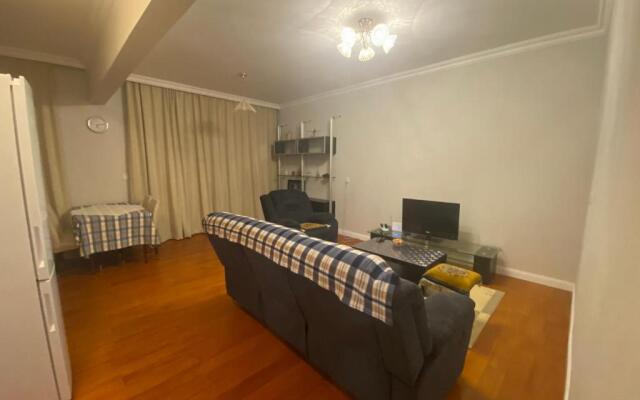 Cozy 2 bedroom apartment in city heart