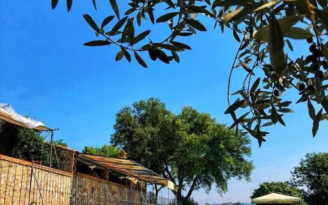 Agriturismo Piatina