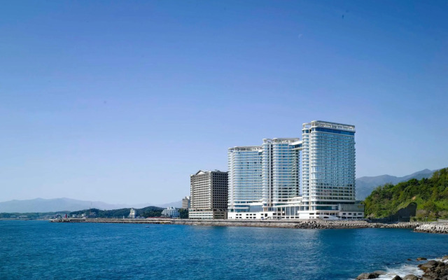 Cassia Sokcho