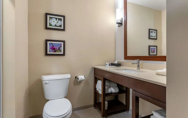 Comfort Inn And Suites Waller