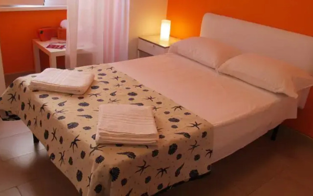 Color Holiday House