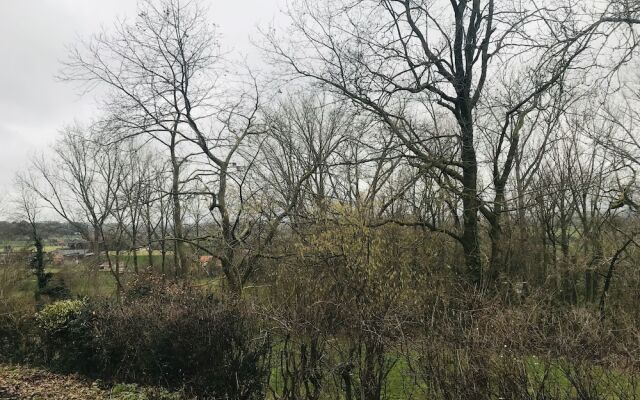 Panacée Guesthouses