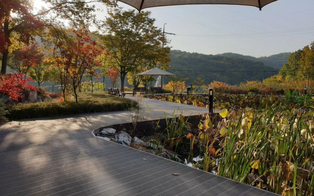 Seorak Donghae Roselia Pension