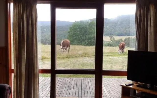 Jamieson Valley Retreat