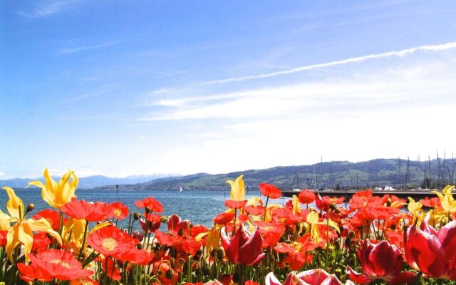 Bedhub - Swisslodge Arbon