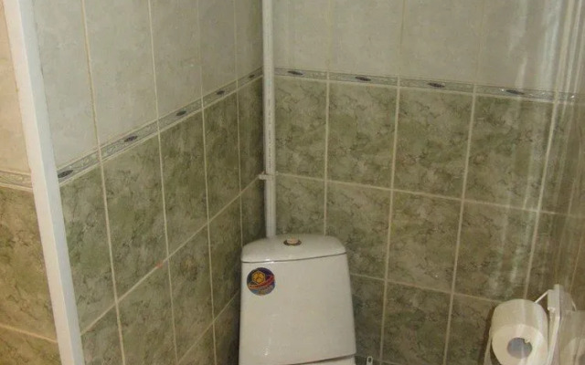 Old Flat Apartments Degtyarniy