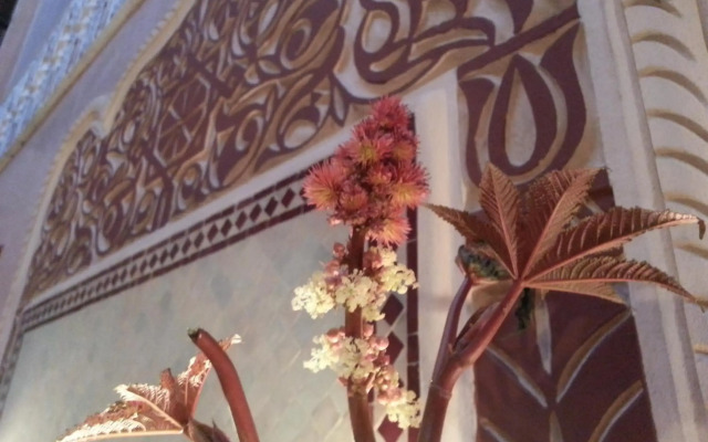 Riad Mille et une Nuits