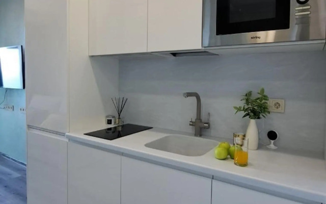 Апартаменты на проспекте Курортный  96Г