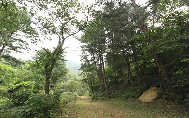 Cheongpyeong Dream Pension