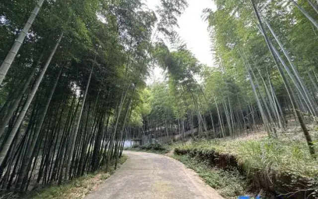 Nanxi Homestay