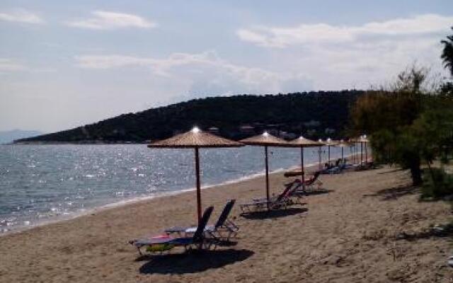 Iordanis