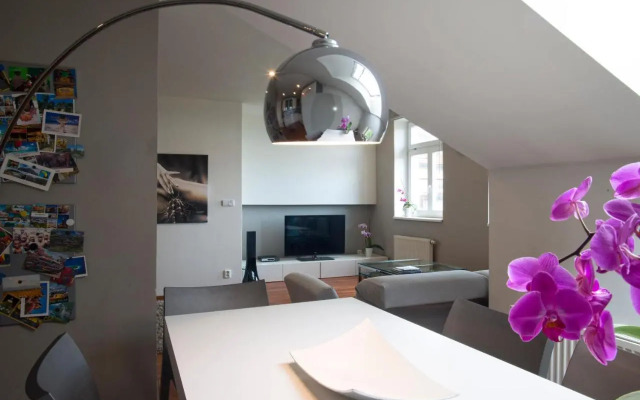 Luxury Penthouse Apartment