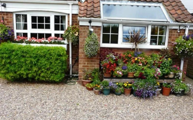 Pine Lodge Bed & Breakfast