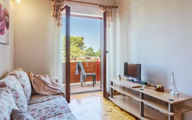 Nice Apartment in Kanfanar With Wifi and 1 Bedrooms