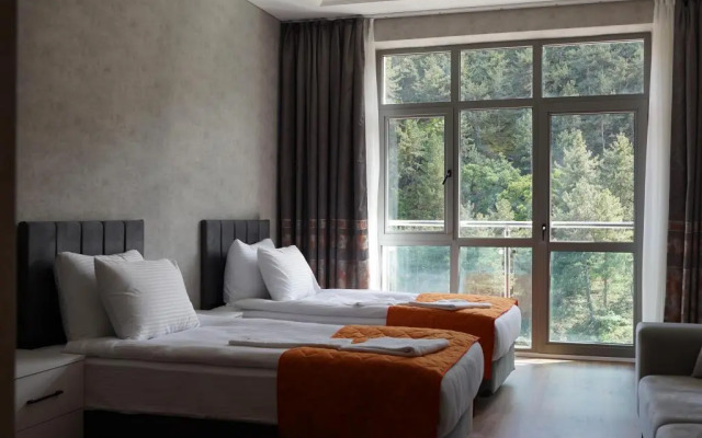 Ve Hotels Kizilcahamam