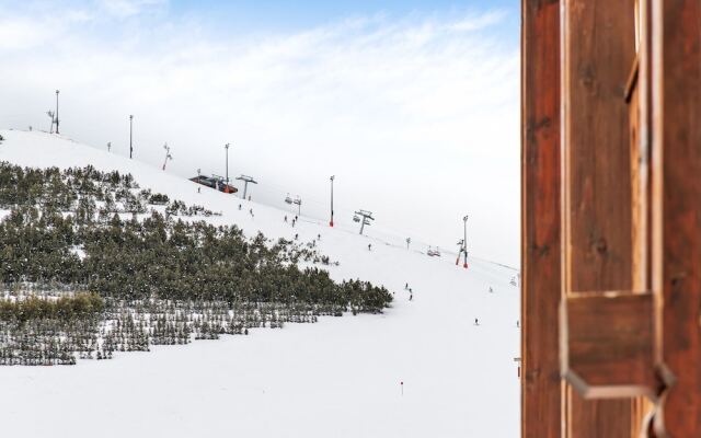 Chalet Perdrix by Skinetworks