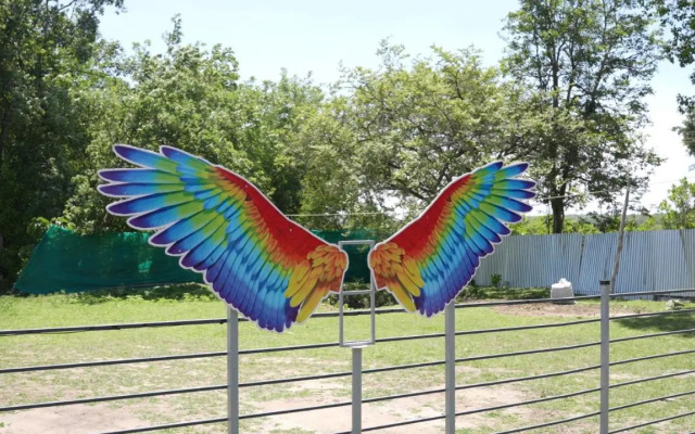 Wild Tusker Masinagudi by LexStays