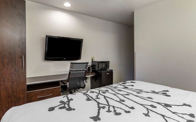 Microtel Inn Suites By Wyndham Kalamazoo