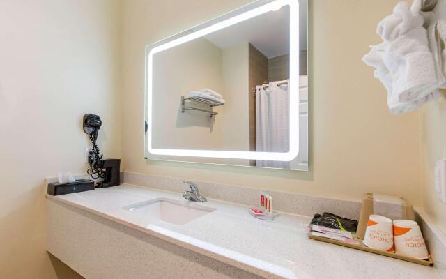 Econo Lodge Inn & Suites Houston Willowbrook