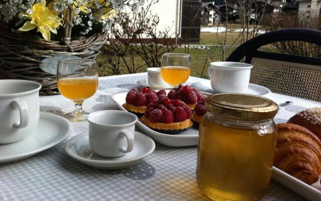 Front Ski Slope Chamonix Apartment