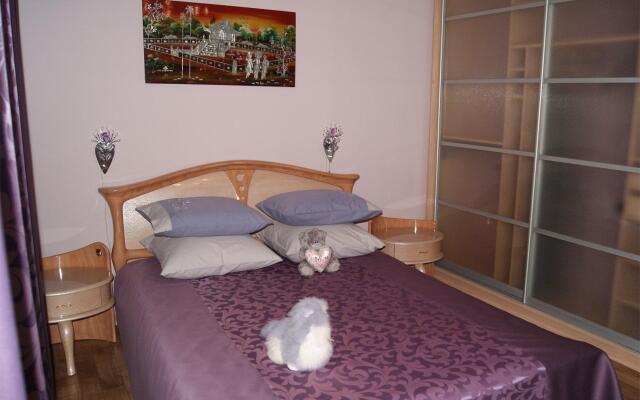 Apartment Olivia on Radishchev Street