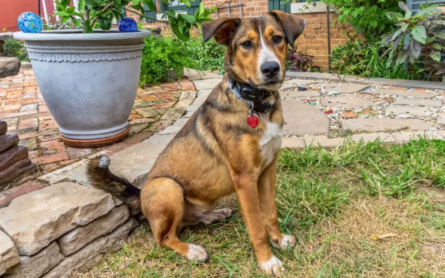 Dickinson Room by Main Street Bed & Breakfast