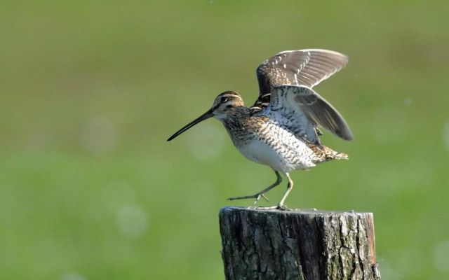 Ferienhaus 2 Köhr-Eickhoff