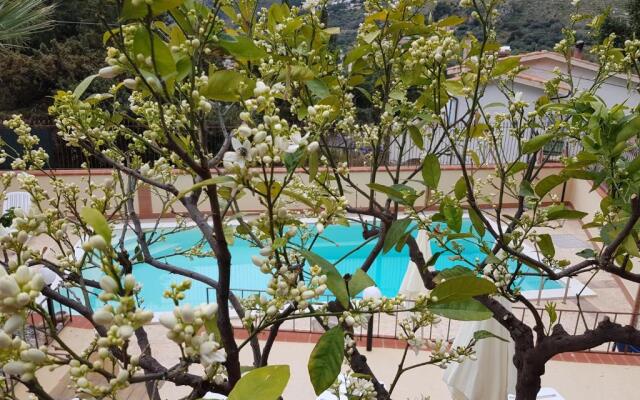 Villa del Golfo Urio with swimming pool shared by the two apartments